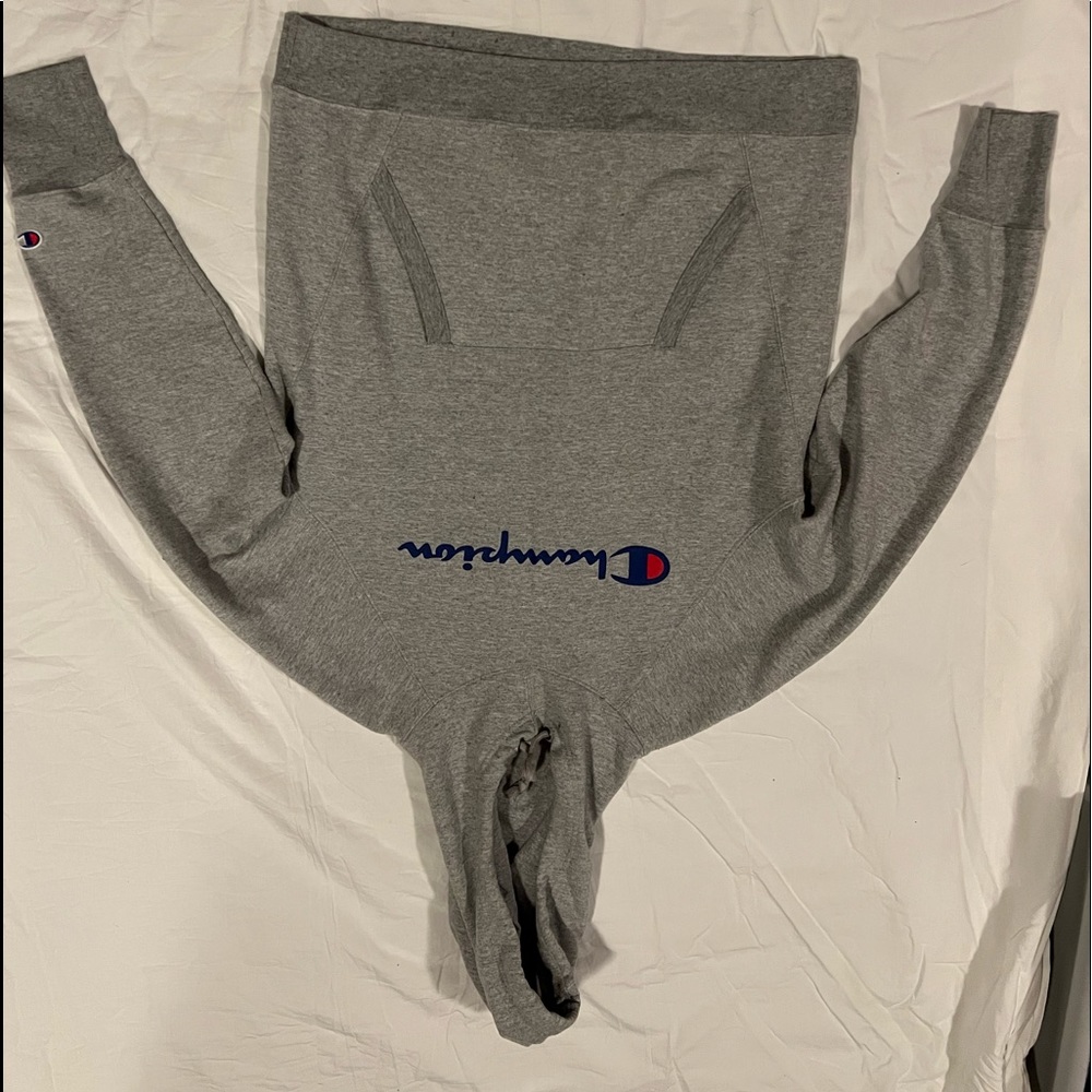 Grey Champion Hoodie, size large, never worn!